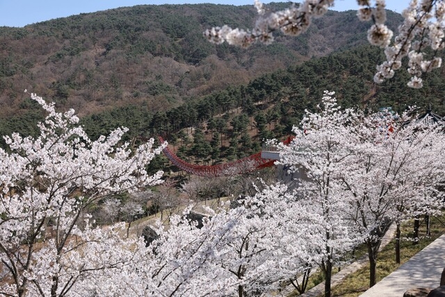 Discover Wellness Tourism: Why Sancheong is Asia’s New Healing Destination in 2026