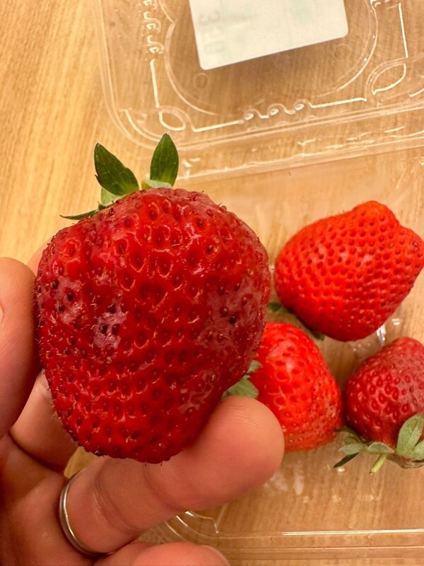ameblo