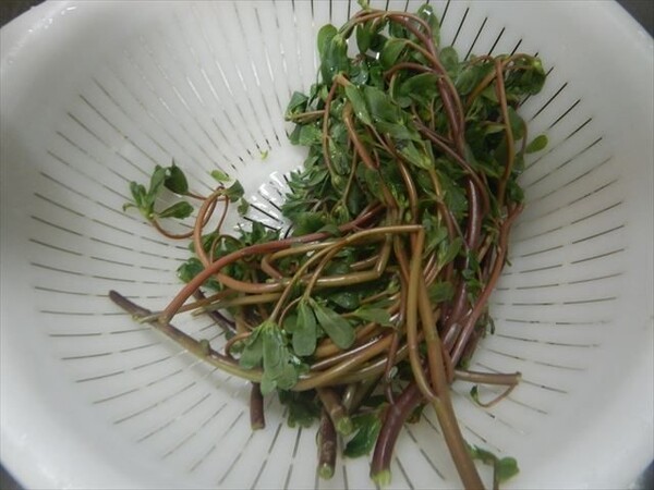 totte-taberu