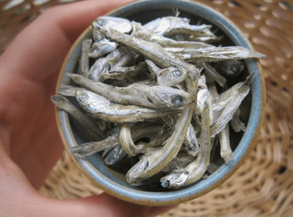 japanesetaste