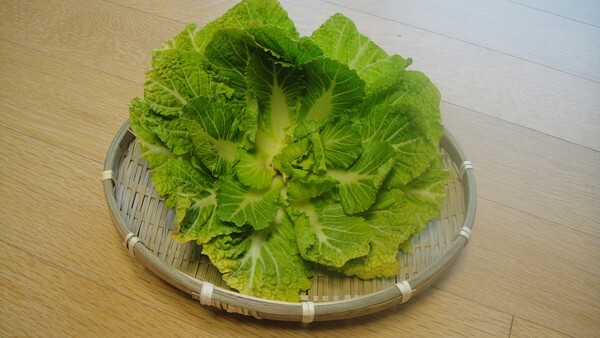 kkimchi88