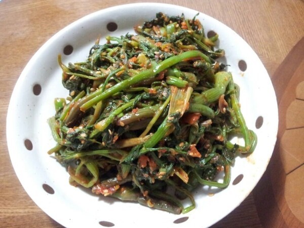 ameblo