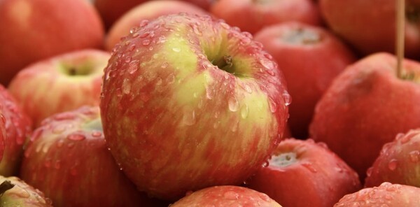 producemadesimple