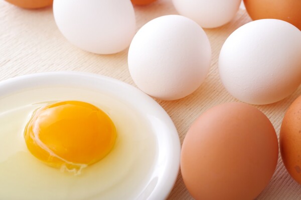 kappa-egg
