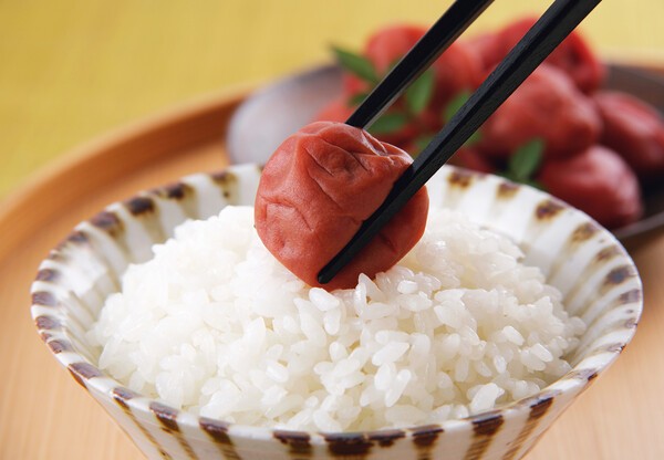 hakatanoshio