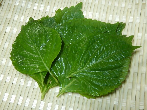 lostathomenomore