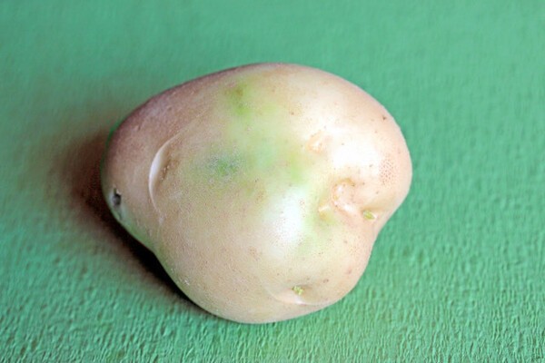 tokubai