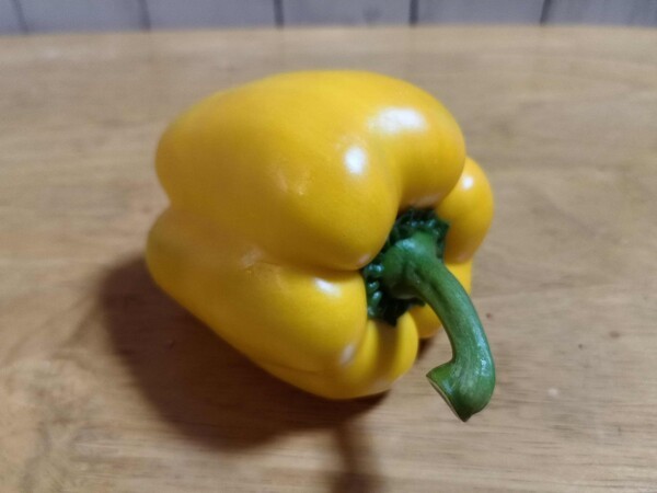 pisuke-garden