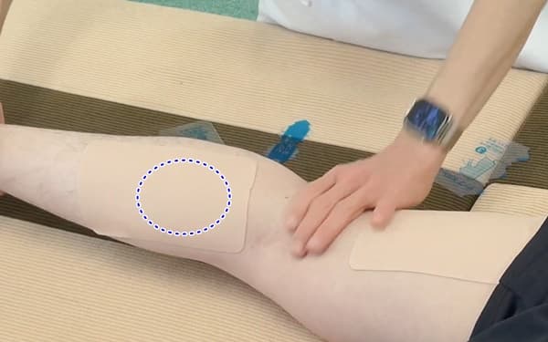 makura