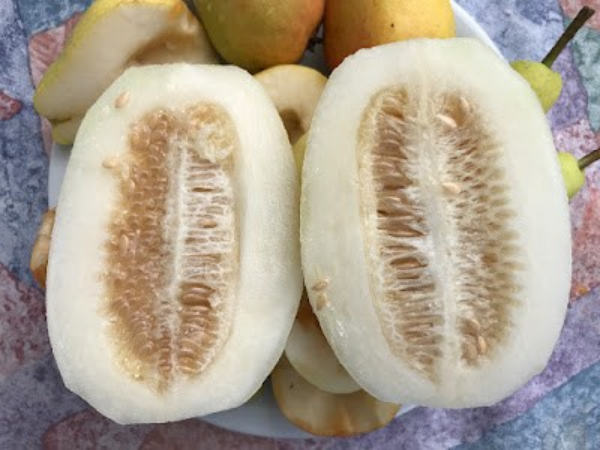 blogspot