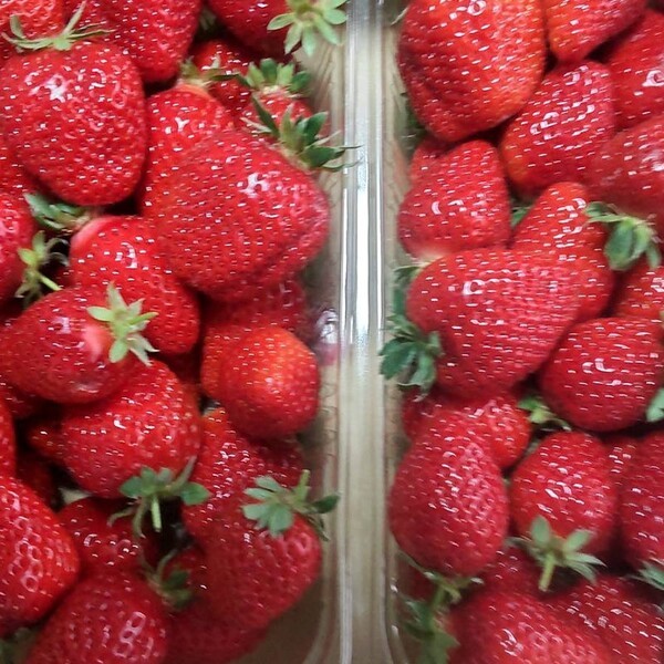 ameblo