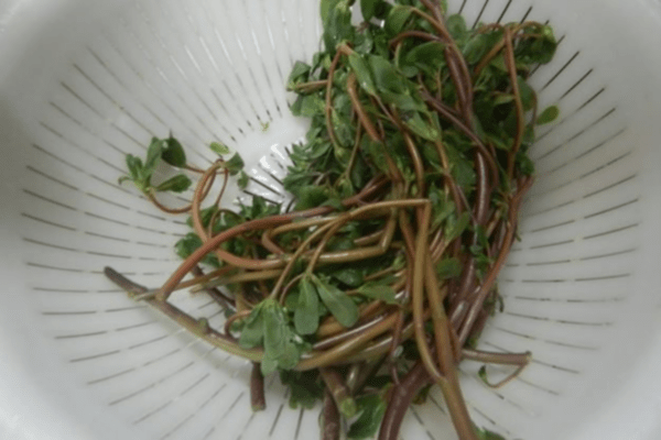 totte-taberu
