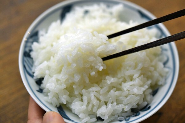 sirogohan