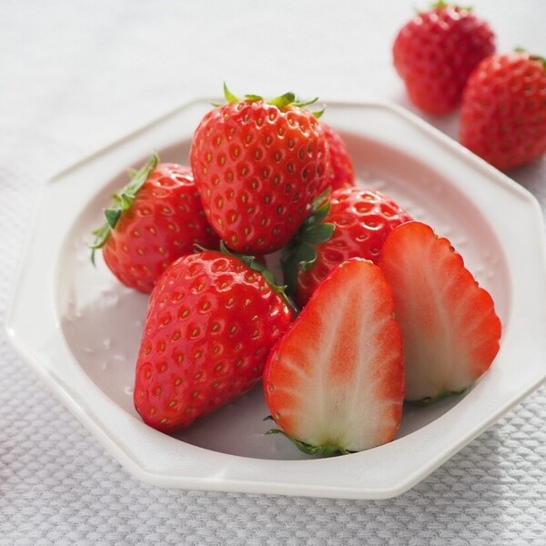cotta