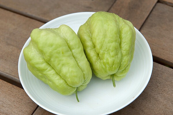 shuminoengei