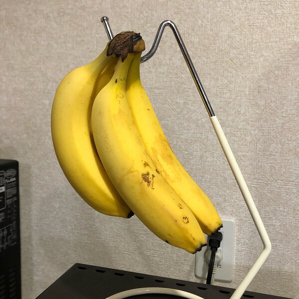 roomclip