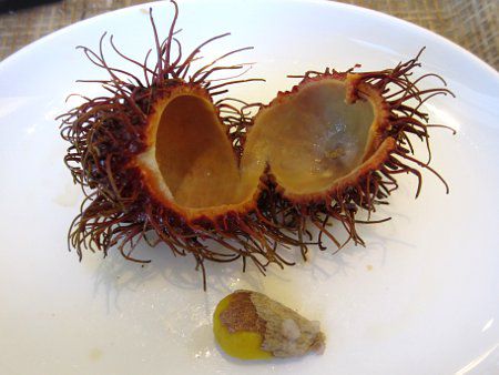kagiken