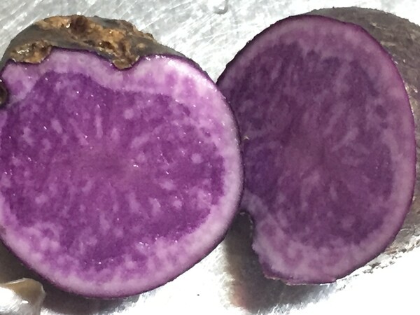 farmandante