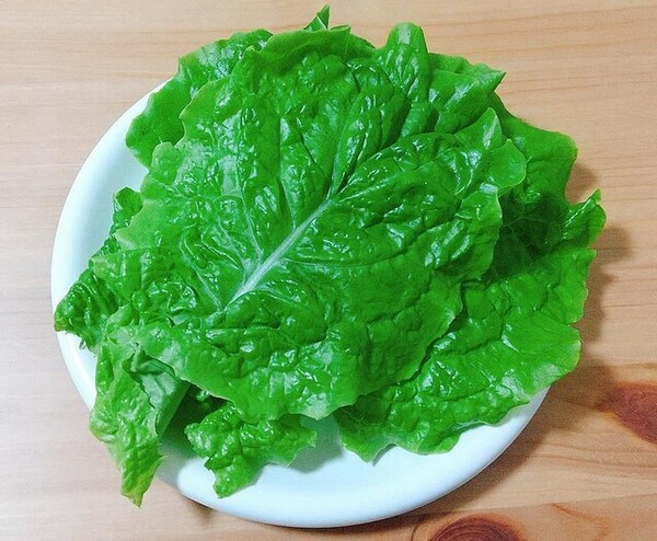 livedoor
