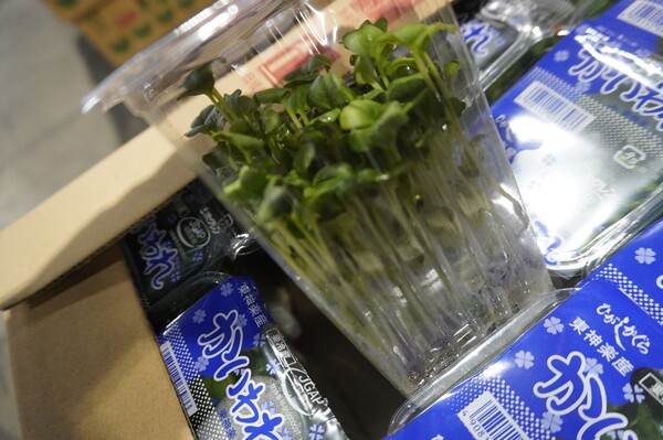 sapporo-market