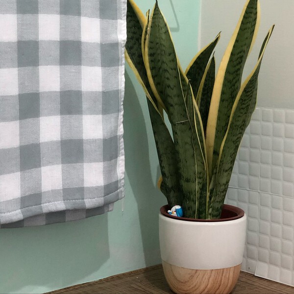 roomclip