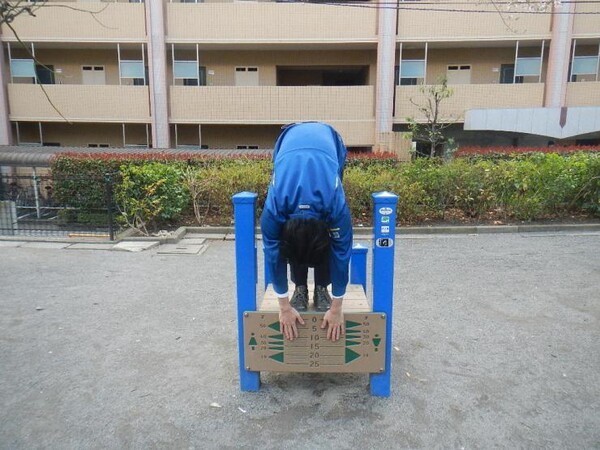 toshima