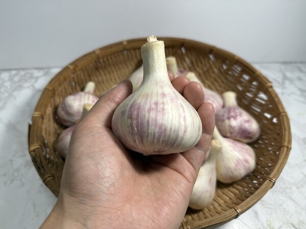 omishokai