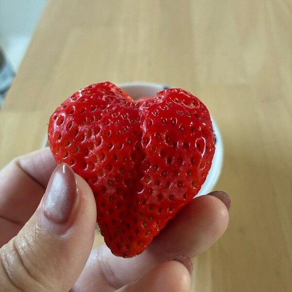 ameblo