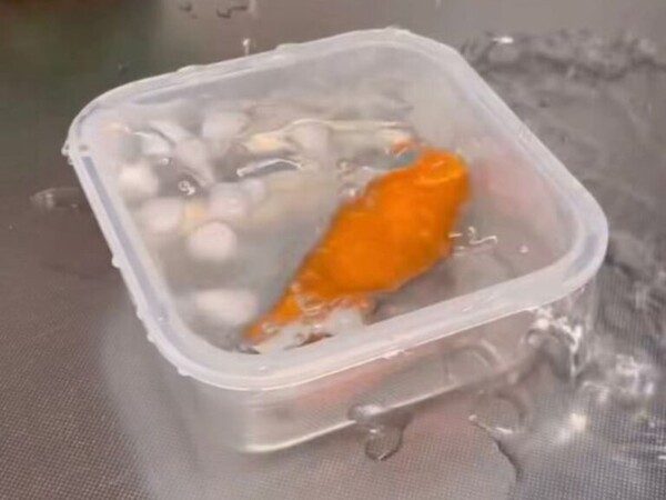 grapee