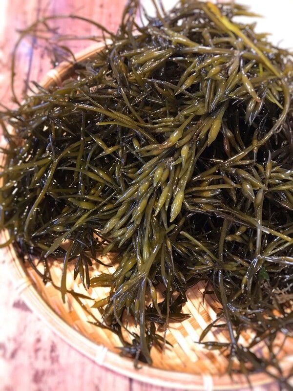 ameblo
