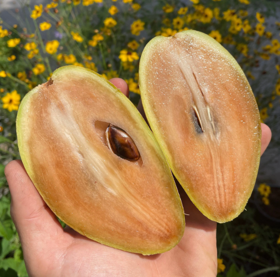 incredibleediblelandscapes