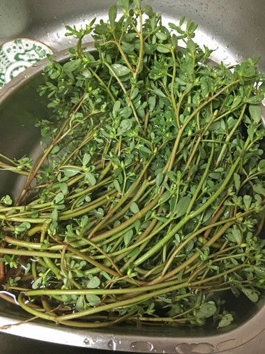 gurutsuba
