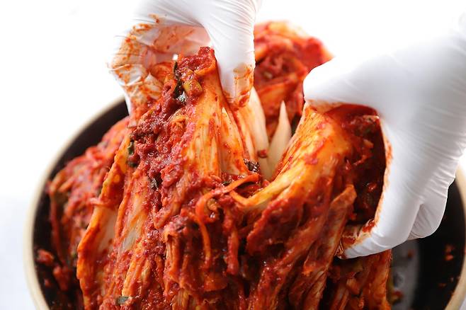 배추김치