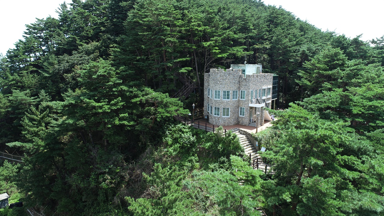 引用：報道資料