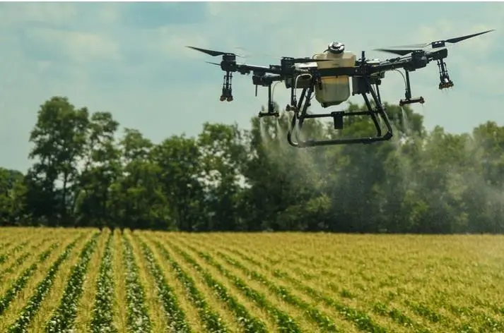Using drones to protect Kentucky corn: UK researchers lead precision  agriculture study | Winchester Sun