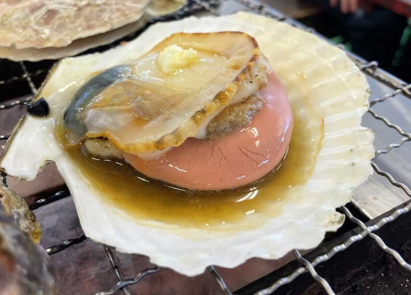 온라인 커뮤니티