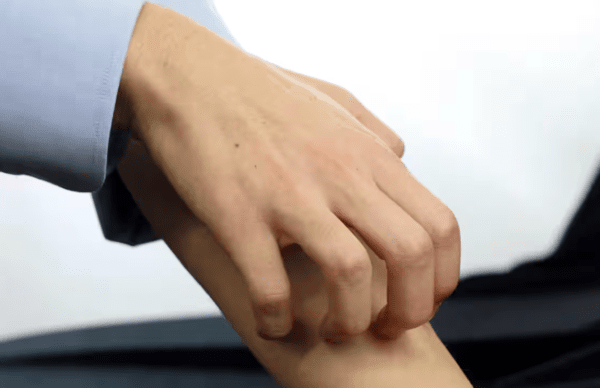 온라인 커뮤니티