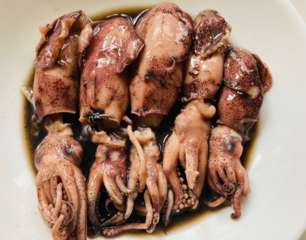 온라인 커뮤니티