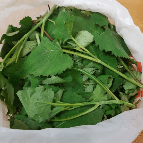 온라인 커뮤니티