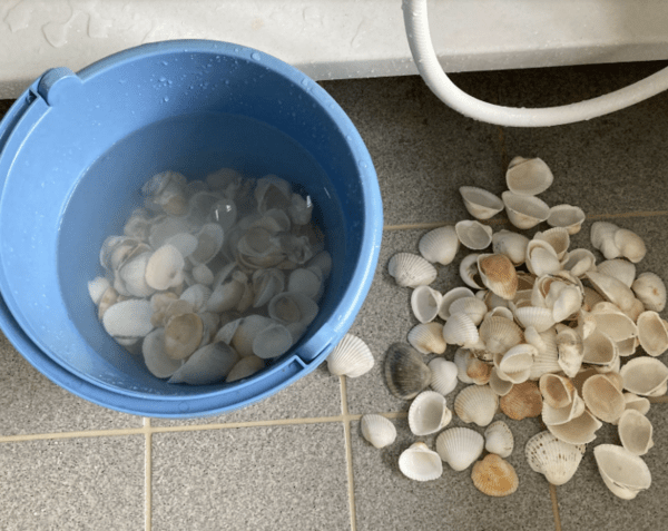온라인 커뮤니티