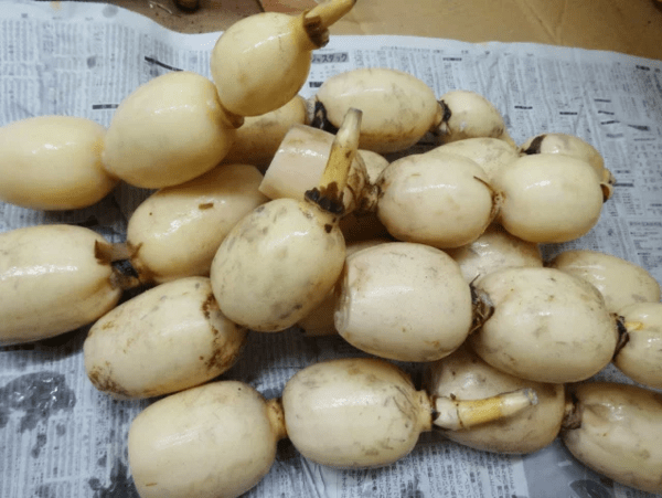 온라인 커뮤니티