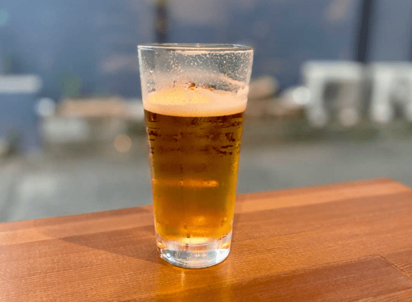 온라인 커뮤니티
