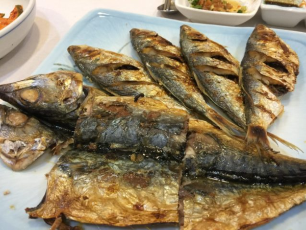 온라인 커뮤니티