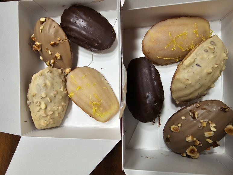 引用：申し訳ありませんが、その画像の情報を提供することはできません。