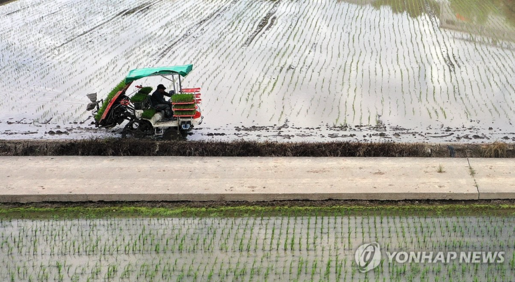 쌀값 역대 최고치에 벼농사 순수익 58% 급증… 쌀값, 역대 최고치 기록