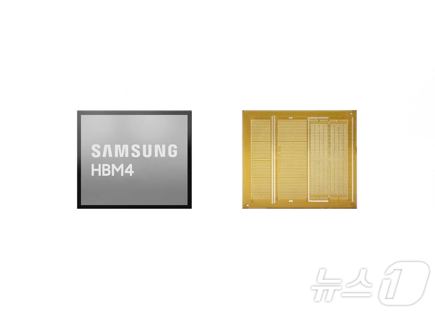 삼성전자, GTC서 HBM4E 최초 공개 - 뉴스1