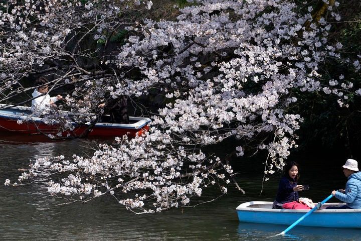 引用：ニューシス