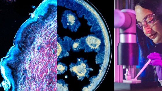 Courtesy of L\'Oréal