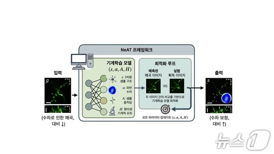 Framework for correcting distortion in fluorescence microscopy images. / Courtesy of KAIST