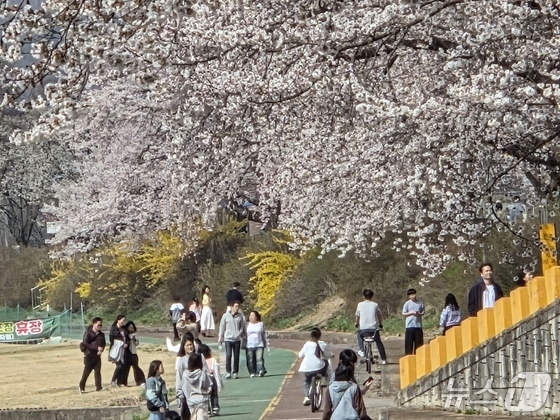 引用：ボウン郡提供